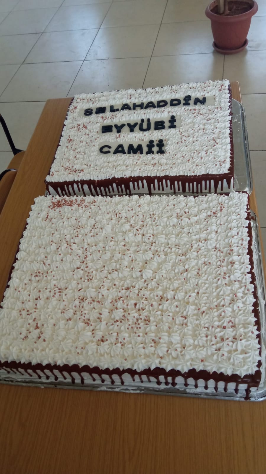 Gençlik Çalışmaları gorseli